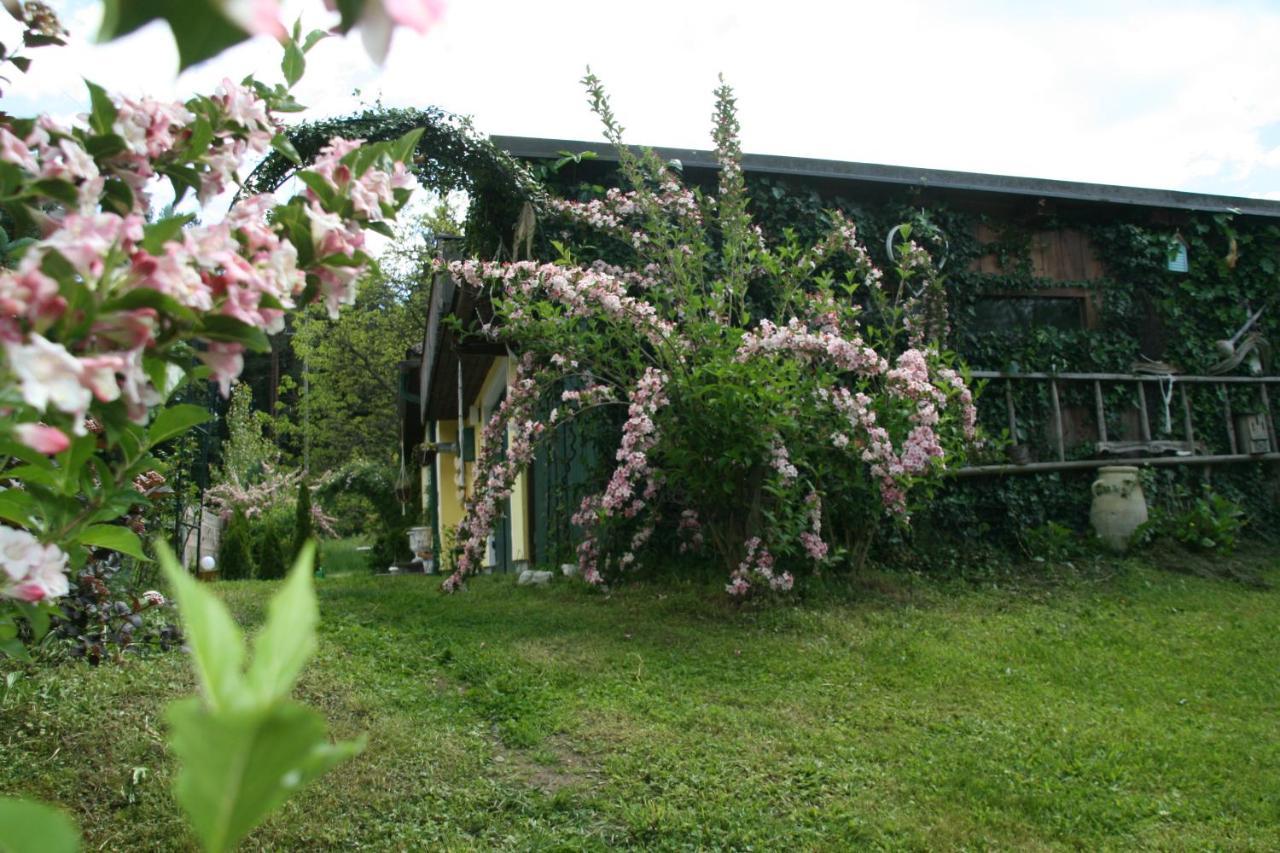 Chalet Damtschach מראה חיצוני תמונה